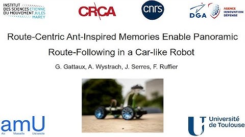 Route-Centric Ant-Inspired Memories Enable Panoramic Route-Following in a Car-like Robot