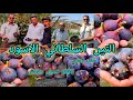 التين السلطاني الاسود صنف مميز في العراق طعم عسلي وحجم متوسط وينتج ل ٦ اشهر صنف تجاري التين السلطاني الاسود صنف مميز في العراق طعم عسلي وحجم متوسط وينتج ل ٦ اشهر صنف تجاري