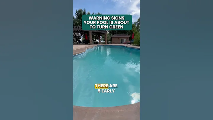 Warning Signs Your POOL is About to Turn GREEN ⚠️