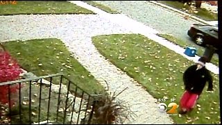 Man Caught On Camera Stealing Package In Front Of LI Home