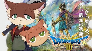 『#3【ドラクエ3 リメイク】初見実況プレイ』ここから始まる、ロト饅頭の物語(ネタバレ注意)