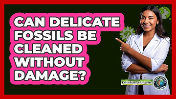 Can Delicate Fossils Be Cleaned Without Damage? - Earth Science Answers