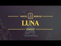 Manuel Medrano &amp; Arthur Hanlon - Luna (Visualizer)