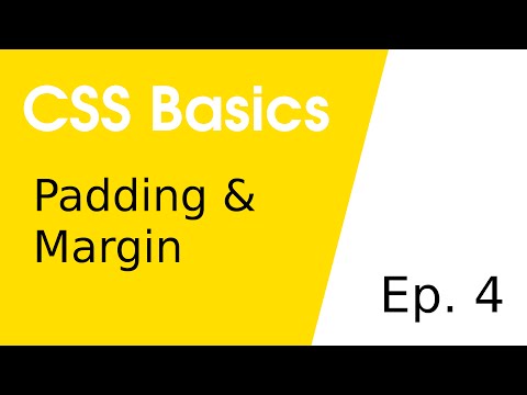Padding & Margin • CSS Basics 4