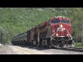 2019-05-25 Westbound BNSF Oil Cans at Bay City