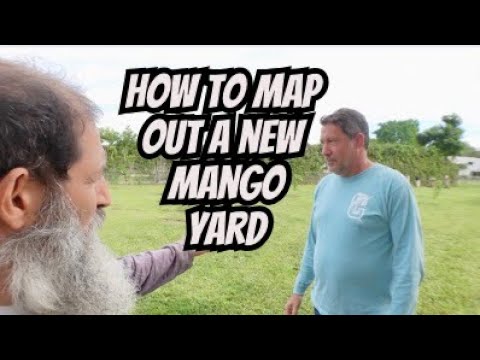 How To Map Out A New Mango Yard
