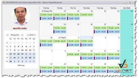 [DEVEXPRESS] Timesheet display on  Schedule Control C#