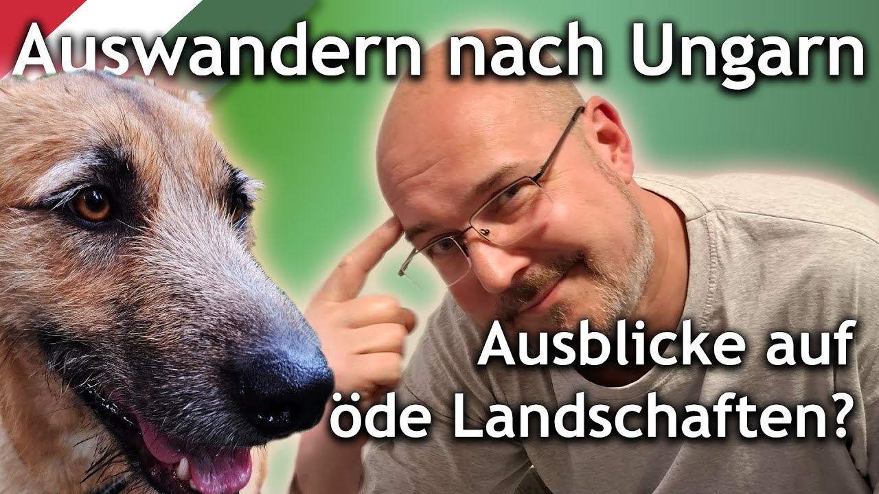 Auswandern nach Ungarn - Blicke auf öde Landschaften? Der Kis-Balaton.