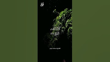 وَظَنَّ أَنَّهُ الْفِرَاقُ - القارئ: محمد دياب