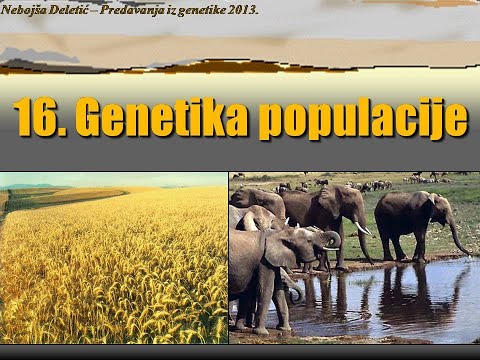 Predavanje 16  Genetika populacije