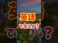 【これだけ覚えて!】ゆっくり覚える👂日常英会話100フレーズ|聞き流しOK(26〜30)