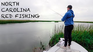 Fishing for Reds in CRYSTAL CLEAR Marsh Water | North Carolina Red Fishing