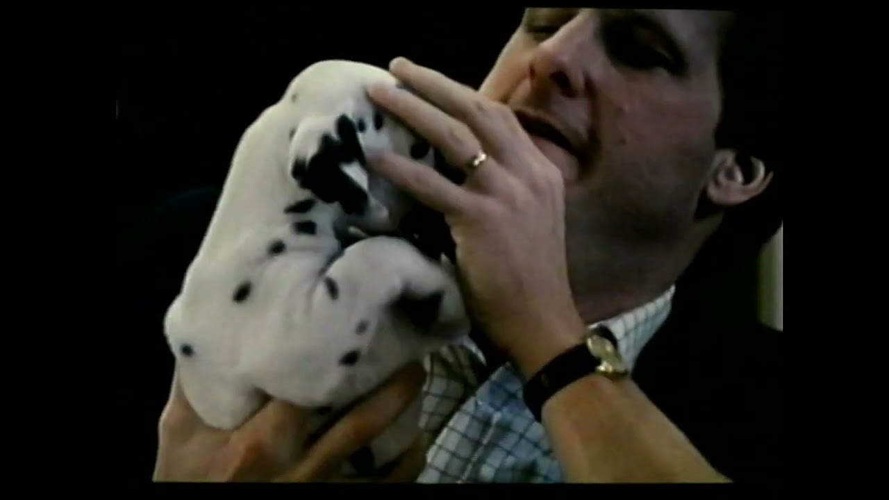 początek kasety vhs zakochany kundel z 1998 roku