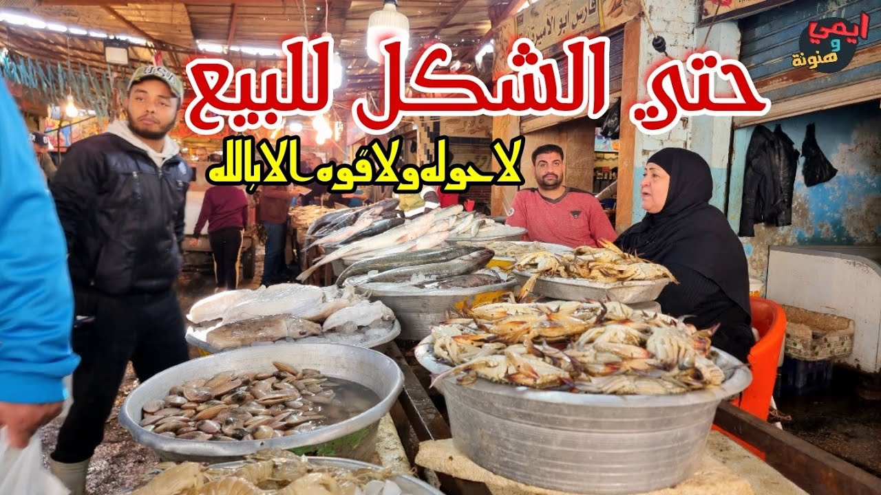 شوفوا شكل للبيع يا جماعة 🚫 بسوق سمك الانصاري بالسويس 🐟 عندنا فسفور للغلابة