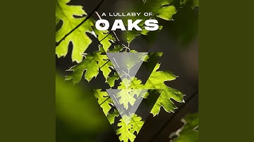 The Croon of the Swaying Branches