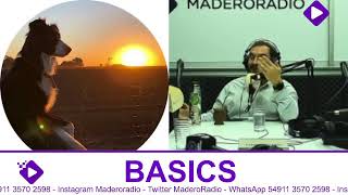 BASICS  Dame el Saldo.