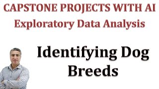 Capstone Project with AI: Exploratory Data Analysis (EDA) Identifying Dog Breeds