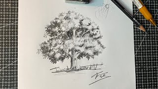 របៀបគូរដើមឈើ តាមការស្រមោលស្រមៃ ( how to draw a tree ) March 15, 2024