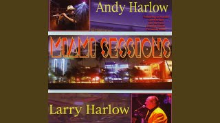 Video thumbnail of "Andy Harlow - Calle Ocho"