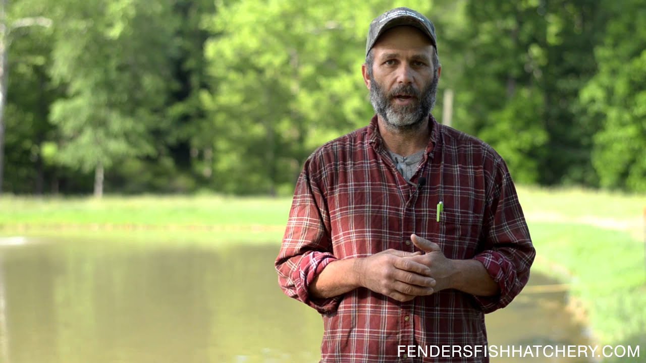 Pond Management - For better fish growth