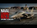 F-14 Tomcat Generation What Is the F-14 Tomcat Used For? | Hidden Naval Combat Role