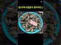 &quot;갱&quot;이 뮐까요?