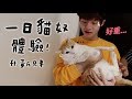 【黃阿瑪的後宮生活】一日貓奴體驗！ft.@黃氏兄弟