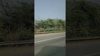 Road Side Seen