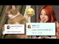 Le sserafims yunjin funny unserious replies with fans on weverse