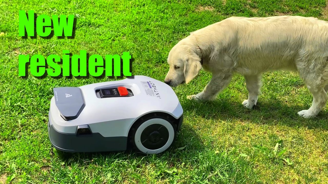 Anthbot Genie 600 Сможет ли эта газонокосилка с ИИ справиться с моим диким газоном?