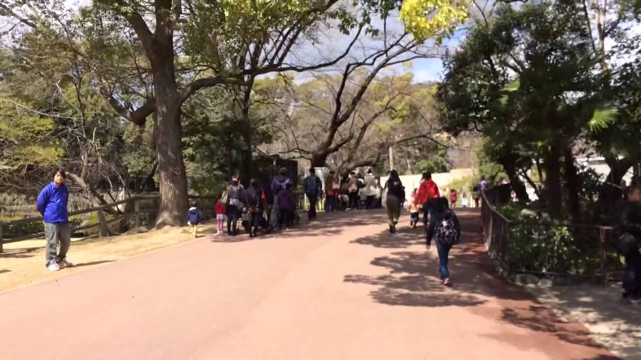 First Day of Spring in Japan - YouTube