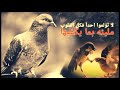 افضل حلات عتاب بدون حقوق نشر افضل حلات عتاب بدون حقوق نشر