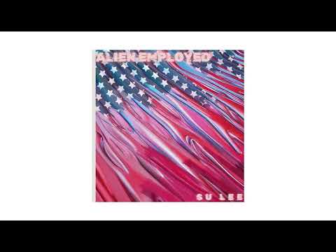 Su Lee - Visa