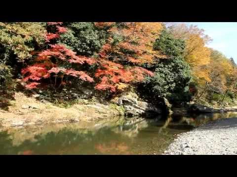 埼玉県 嵐山渓谷の紅葉 Youtube