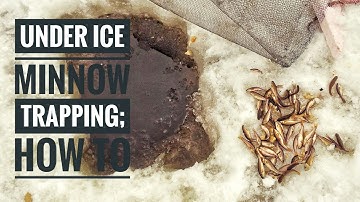 Trapping MINNOWS Under ICE  | Setting and Checking Traps [2018]