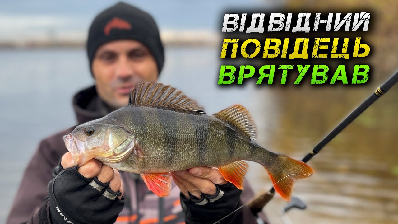 ✅ВІДВІДНИЙ ПОВІДЕЦЬ! ЛОВЛЯ КАПРИЗНОГО ОКУНЯ✅