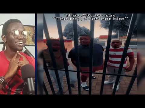 Crazy Funniest Videos Ever In The World Eps 07 