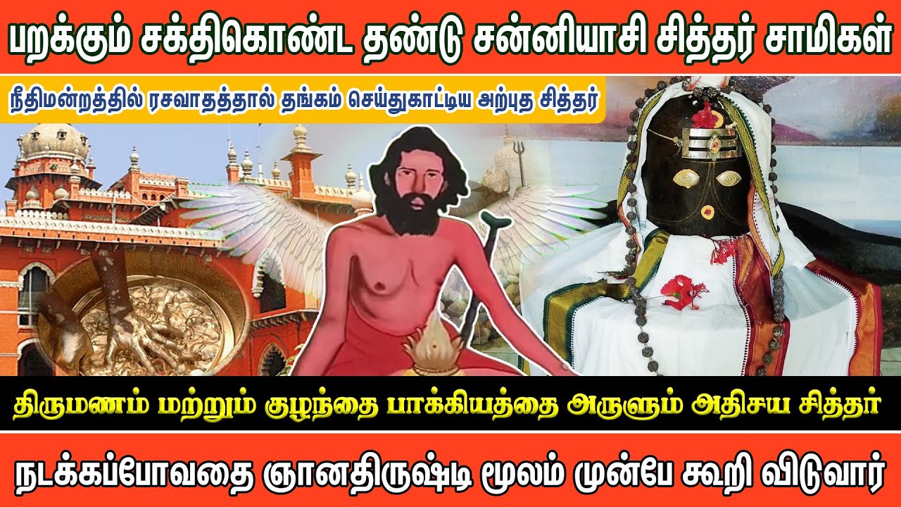 பறக்கும் சக்திகொண்ட தண்டு சன்னியாசி சித்தர் சாமிகள் | Pranavam TV