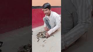yogi uday machali bana raha hai #yogi uday #bhojpurisong #surdas #machhali