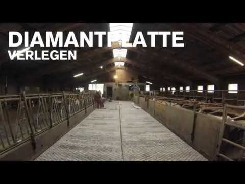 Video: Können Sie Diamantplatten biegen? Video: Können Sie Diamantplatten biegen?