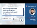 Dr kamran mirza morphologic clues to underlying genetic alterations in myeloid malignancies