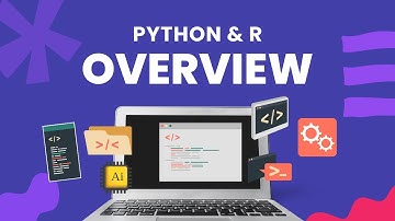 Python & R - Estadistica y Analisis de Datos - Overview
