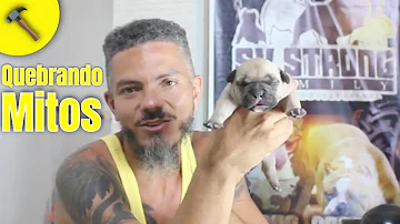 Quais os tipos de fissura?