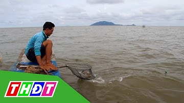 Độc đáo câu kiều bắt cá ngát ở xóm biển | THDT