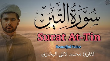 Surat At-Tin  | Qari Mohammed Laiq -  سورة التين |  القارئ  محمد لائق