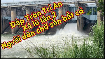 Đập tràn Thủy Điện Trị An xả lũ lần 2 năm 2023 / người dân chờ sẵn để bắt cá khủng / Đạo Nguyễn