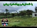 ياشماريخي ويا خضرة ريفي ايوب طارش 
