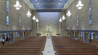 Daily Mass
