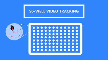 96-well microplate video tracking using LoliTrack 5