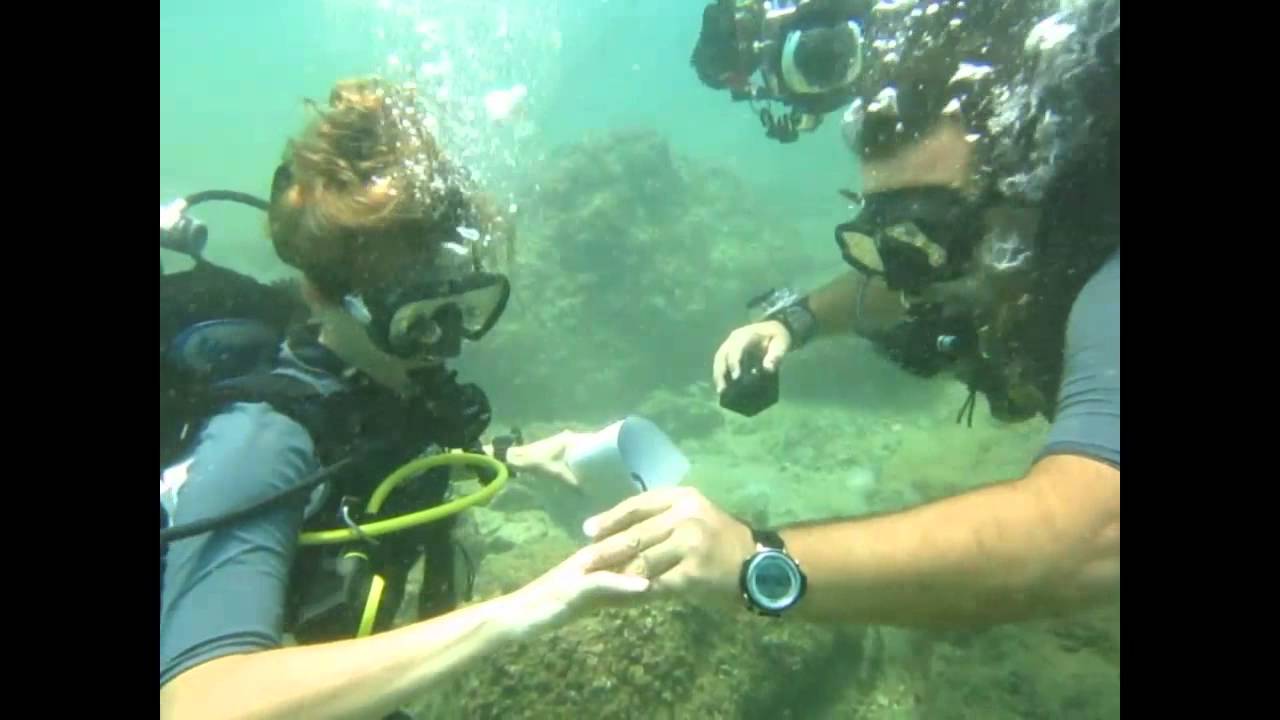 Surprise Underwater Diving Wedding Proposal 2014 Areej & Mounir YouTube